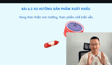 video_24c_1744902590