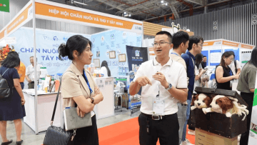 video_24c_1749304530